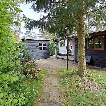 Sfeervol Chalet De Dassenburcht Emst Extérieur photo